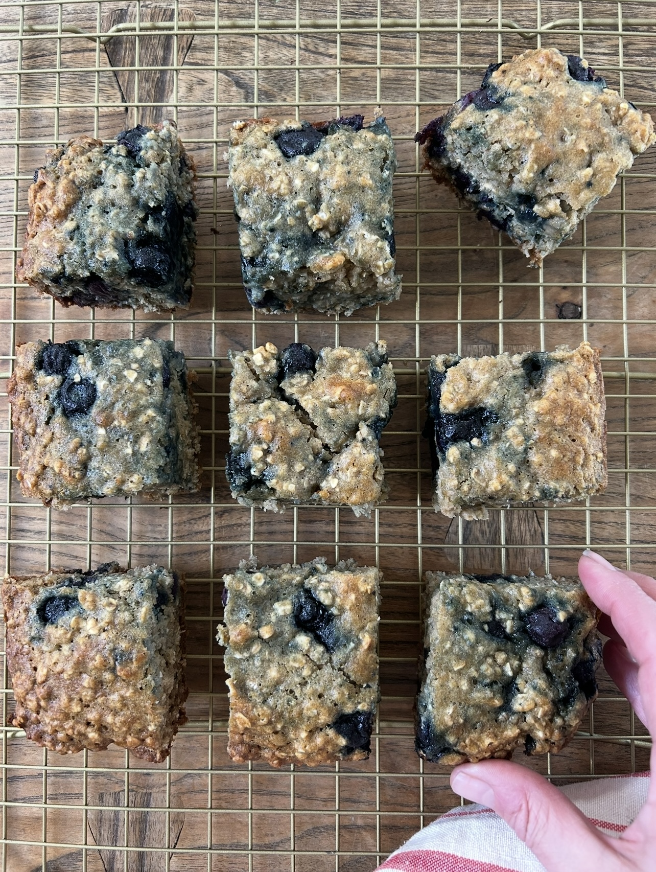 Healthy snack for kids, baked oatmeal squares with blueberries